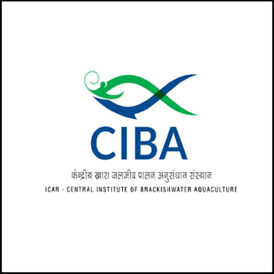 CIba logo